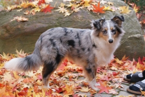 November 2011 (Grace)