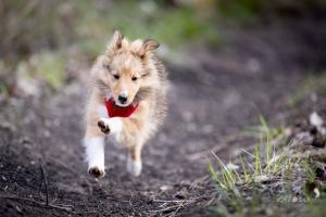 89645730-da0b-4279-856b-a30d555bed2e