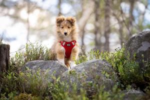 aba05537-193b-47e6-9ed1-31a75856877e