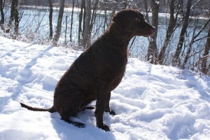 Winter 2009 (Shakira)