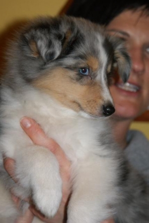 geronimo1-1549708746  