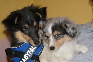 geronimo3-1748663525  