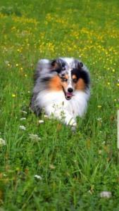 signal-attachment-2019-11-07-191759 003