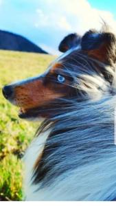 signal-attachment-2019-11-07-191759 006