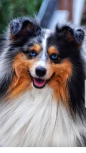 signal-attachment-2019-11-07-191759 007