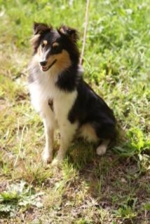 High Heels Helen "Honeybee"