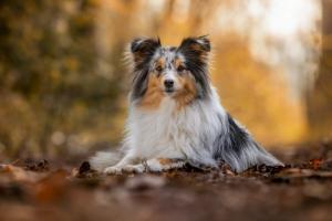 signal-2019-05-08-114601