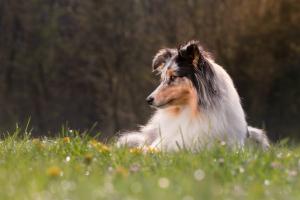 signal-2019-05-08-1146012