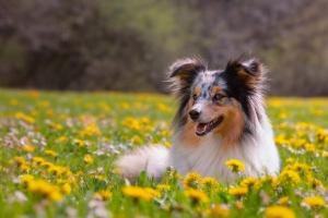 signal-2019-05-08-1146013