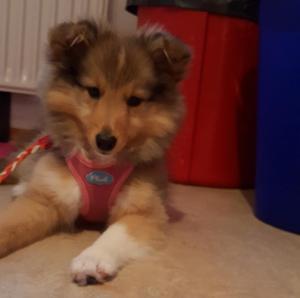 08c9cf04-087f-400c-9907-c76a58f414bd