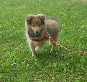 3722f015-2b54-416c-8cad-5e0da73d40de