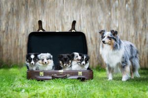 7d6837d2-fd2d-4da3-a7c3-56d34f54b5c1