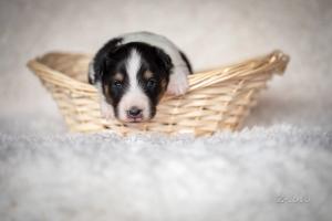 signal-2019-04-15-194623