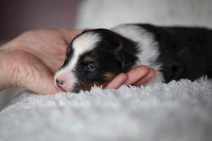 signal-2019-04-15-1946236