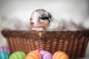 signal-2019-04-15-1946541