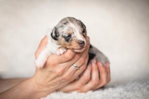 signal-2019-04-15-1946545