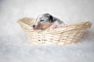 signal-2019-04-15-1947303