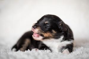 signal-2019-04-15-1948311