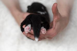 signal-2019-04-15-1948313