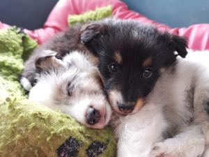 signal-2019-05-04-185602