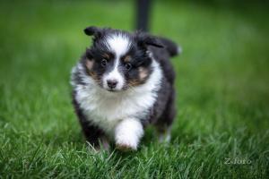 signal-2019-05-06-0714029