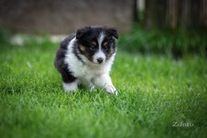 signal-2019-05-06-0714039