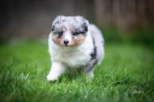 signal-2019-05-06-0714049