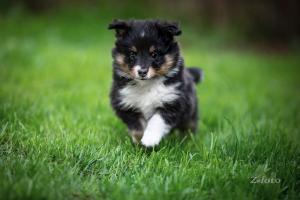 signal-2019-05-06-071409