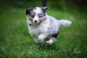 signal-2019-05-06-0714091