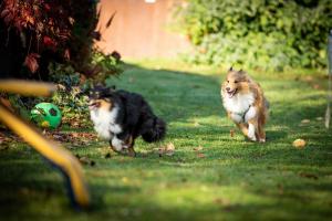 signal-attachment-2019-11-08-182211 004