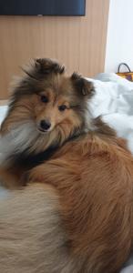 4ebbd8cb-34e9-487d-8382-ac1e578ec999