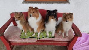 signal-2019-09-06-170732