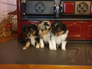 ab26c7e6-7b17-4350-8c25-8c4088a7a602