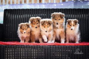 ab1dae3c-5904-49af-bf07-dbc4f82fcd23