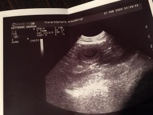 signal-attachment-2020-02-29-103937