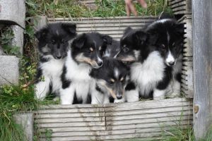 634fe951-5fdd-4714-9fe0-56a2223e18bd