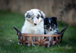 signal-2023-05-14-084818 002