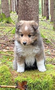 signal-2023-05-14-084818 003