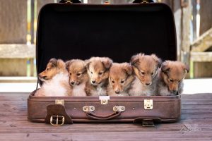 eef731d5-0c78-4c91-b63c-96e2f6bdda80