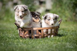 3b53fbcf-60e2-4989-a4ef-3d72ee0d8f4e