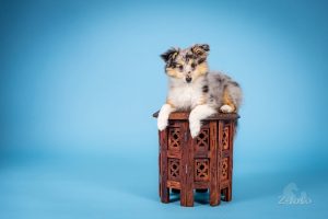 0564d956-ee9c-40ed-b67a-75224cf402b9