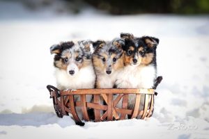 5c88f1ed-cde5-42d9-b1d5-39ee05ddf739