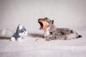 e43cec81-ca62-48f3-9a3b-989803cbe35e