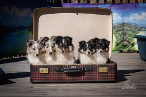 100b1e31-5560-40a6-bca6-7c465df7340b