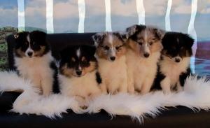 signal-2021-02-28-094630