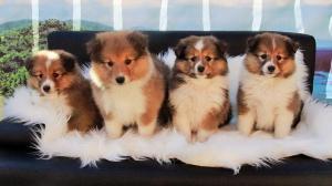 signal-2021-02-28-094658