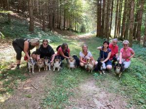 signal-2021-08-14-182831 001