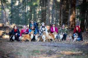 signal-2020-02-01-213236