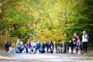 1bff60f8-4332-40bd-aa0c-1778b903def5