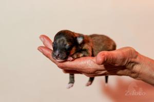 signal-2024-03-01-164838 002